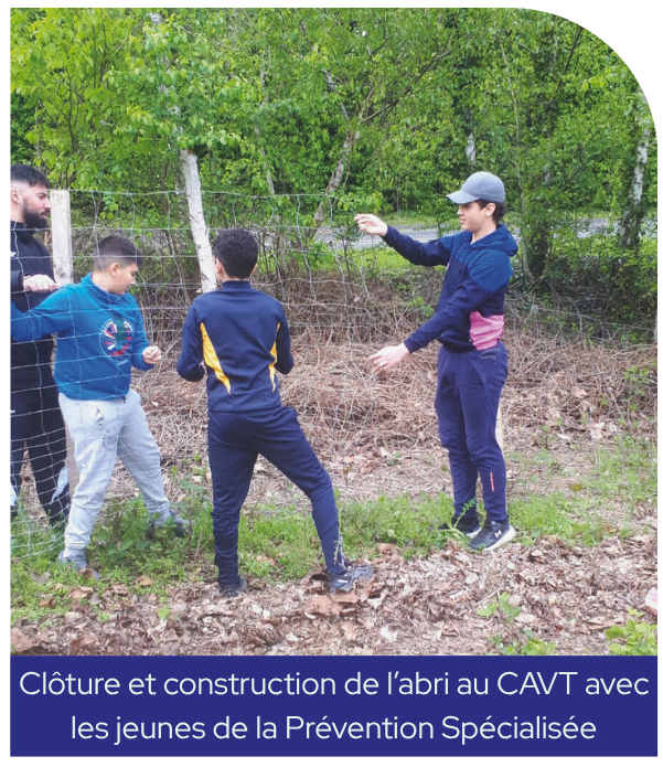 Clôture et abri en construction