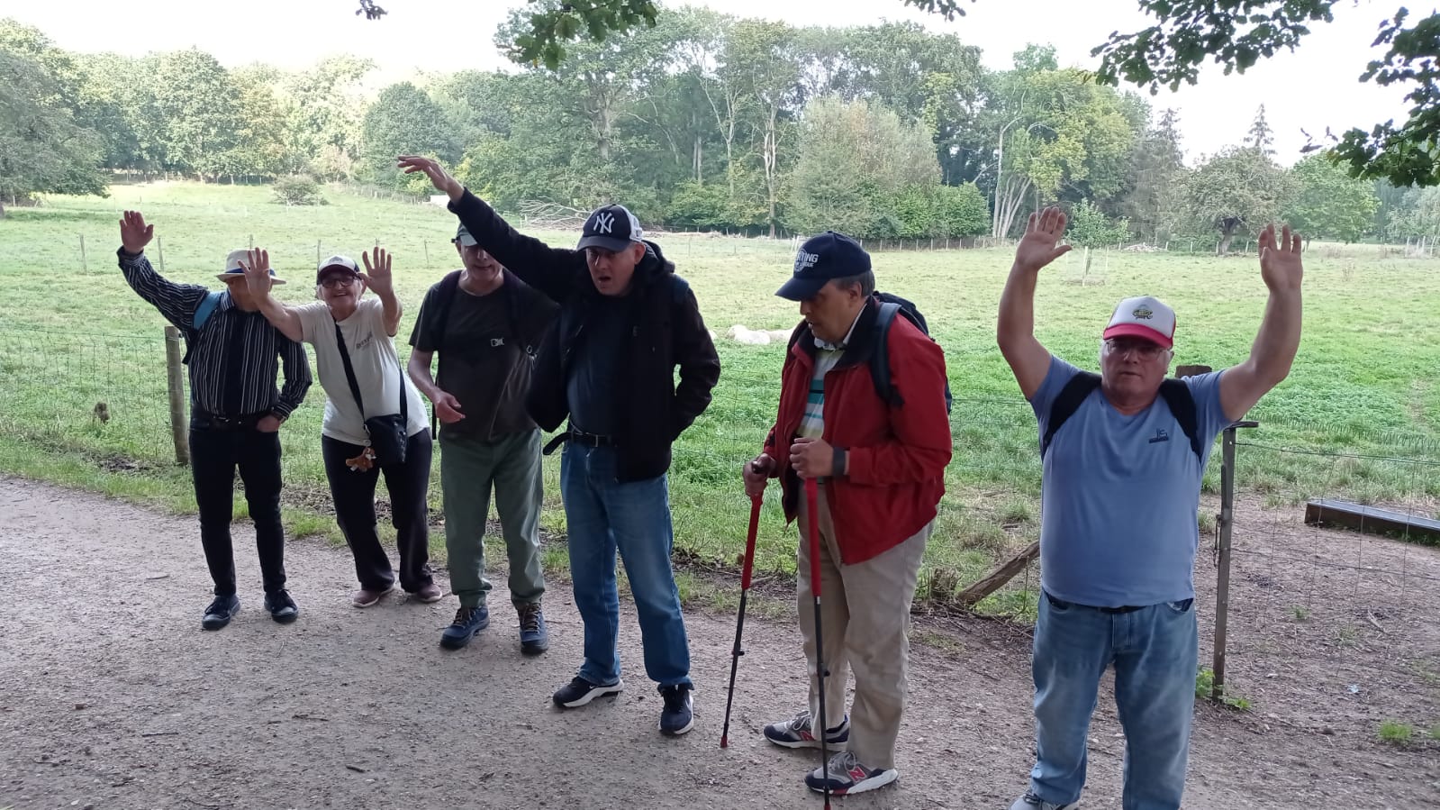 L’activité dans l’accompagnement de personnes âgées en situation de handicap 