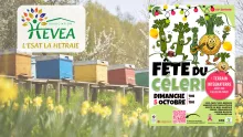L’ESAT La Hêtraie à la 62ème Fête du Céleri !