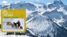 Retour sur le transfert ski: une expérience enrichissante pour tous