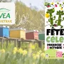 L’ESAT La Hêtraie à la 62ème Fête du Céleri !
