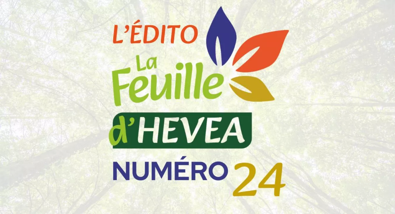 L'Activité au Cœur de l'Inclusion : Dynamisme et Créativité chez HEVEA