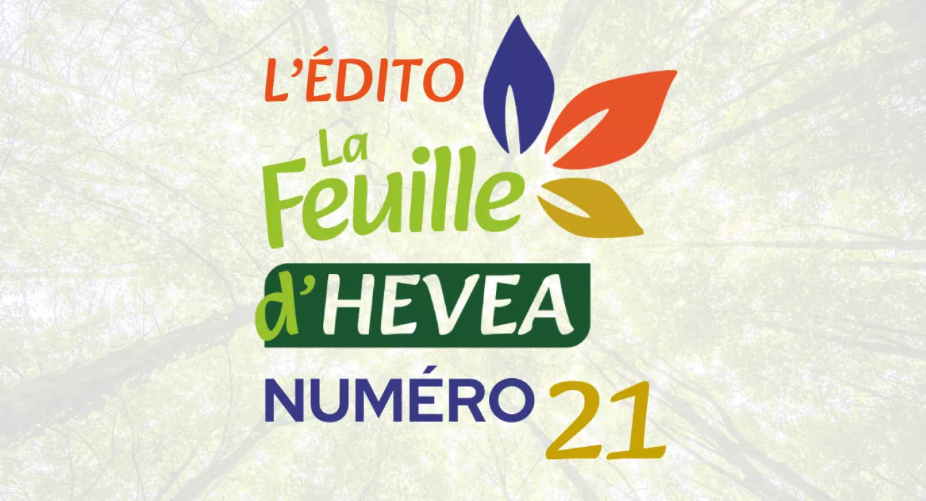 HEVEA fête ses 10 ans