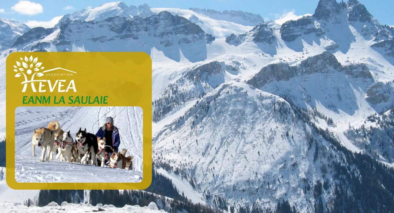 Retour sur le transfert ski: une expérience enrichissante pour tous